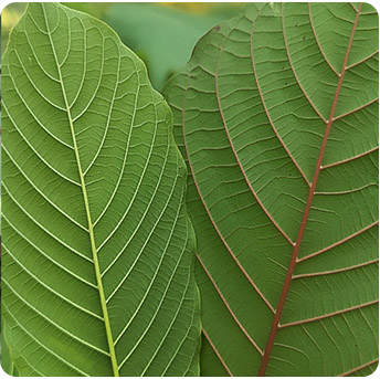 Smarshop banner Smarshop banner